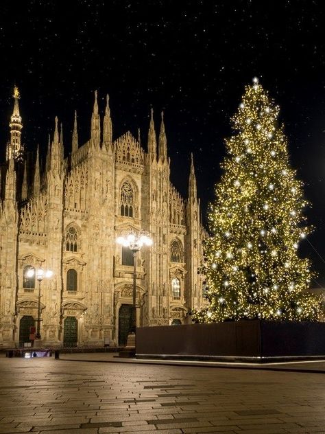 Milan for christmas. Discover all the best places to visit in Italy in winter. Milan In Winter, Italy In Winter, Milan Instagram, History Of Italy, Winter City Break, Best Winter Destinations, Italy Winter, Italy History, Christmas In Italy