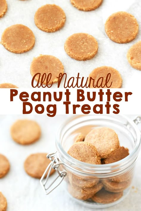 Our dogs are part of our family so I like making them healthy, all natural treats. These Peanut Butter Dog Treats are incredibly easy to make and my dogs absolutely love them. #dogtreats #homemade #peanutbutterdogtreats Natural Dog Treats Recipes, Dog Cookie Recipes, Pup Treats, Homemade Dog Cookies, Dog Treats Homemade Easy, Easy Dog Treat Recipes, Animal Treats, Dog Biscuit Recipes, Doggy Treats