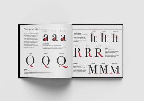 Didot Type Specimen Booklet — Lisa Ferrara Designed Type Specimen Book Layout, Timeline Website, Type Specimen Booklet, Website Typography, Type Specimen Book, Specimen Book, Book Layouts, Typography Book, Type Specimen