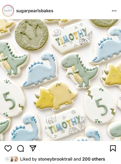 Dinosaurs Cakes, Dinosaur Birthday Cookies, Baking Schedule, Dino Cookies, Dinosaur Birthday Party Decorations, Dinosaur Cookies, Sugar Cookie Royal Icing, Dinosaur Themed Birthday Party, Enjoy The Moment