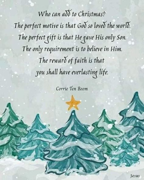 Christmas Devotions, Christian Christmas Quotes, Boom Quotes, Corrie Ten Boom Quotes, Church Sign Sayings, German Christmas Traditions, Christmas Notes, Thankful And Grateful, He Restores My Soul