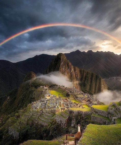 Machu Picchu, Peru. Machu Picchu Photography, World Most Beautiful Place, Machu Picchu Peru, Cusco Peru, Peru Travel, Destination Voyage, Travel Lover, Machu Picchu, Most Beautiful Places