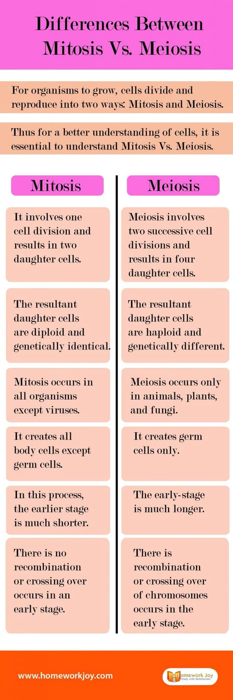 #Learn key differences between mitosis vs. meiosis. Also, here are some similarities between mitosis and meiosis. For more details, read the post. #WednesdayWisdom #education #WednesdayMotivation #Online Difference Between Mitosis And Meiosis, Mitosis And Meiosis Notes Aesthetic, Mitosis Vs Meiosis Notes, Meiosis Vs Mitosis, Biology Mitosis Meiosis Notes, Mitosis And Meiosis Notes, Meiosis Notes, Mitosis Notes, Cell Biology Notes