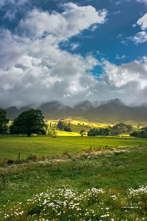 New Zealand House In New Zealand, New Zealand Beautiful Places, Waikato New Zealand, New Zealand Aesthetic City, Nee Zealand, New Zealand Countryside, New Zealand Aesthetic, New Zealand City, New Zealand House