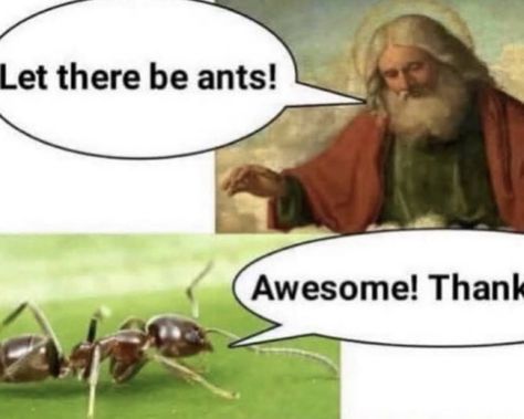 Earth Memes, Keeper Of The Lost Cities, Know Your Meme, Hysterically Funny, Really Funny Pictures, Haha Funny, Best Memes, Funny Laugh, Ants