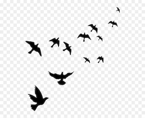 Birds In The Sky Drawing, Birds Flying Png, Non Copyright Images, Png Sky, Sky With Birds, Flying Bird Drawing, Birds Flying In The Sky, Birds Background, Sky Png