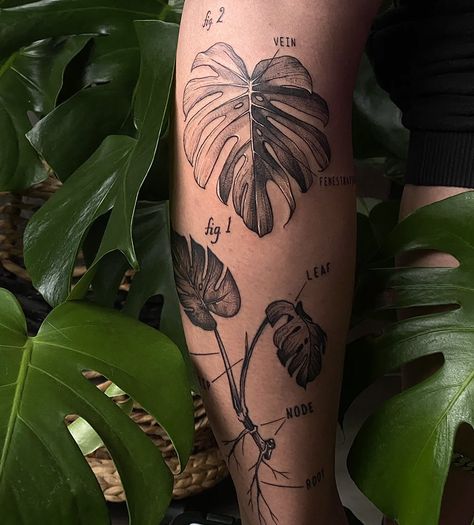 Long Plant Tattoo, Large Plant Tattoo, Tattoo Sleeve Starters, Plant Knee Tattoo, Monstera Leaf Tattoo, Tropisches Tattoo, Scientific Tattoo, Body Doodles, Plant Tattoos