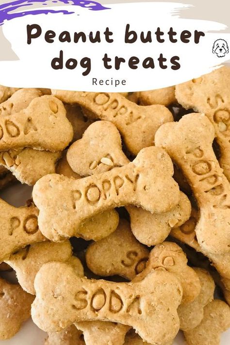 Your dogs will love this quick and easy peanut butter dog treat recipe. All you need to make these dog biscuits is peanut butter, flour, egg and water. They’re a tasty, healthy dog treat for your peanut butter loving pooch. Dog Peanut Butter Cookies, Dog Biscotti Recipe, Homemade Peanut Butter Dog Treats Recipe, Homemade Peanut Butter Dog Treats, Dog Training Treats Recipe, Healthy Dog Biscuits, Banana Dog Treats, Peanut Butter Dog Biscuits, Peanut Butter Biscuits