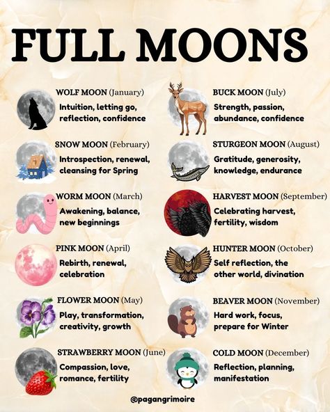 Discover the magic of the moon with our Full Moon guide, detailing each lunar phase, its intentions for moon rituals, and Full Moon names. From the Wolf Moon to the Cold Moon, learn how to harness the energy of each full moon for reflection, manifestation, spells, and personal growth as a witch or one looking to do some manifesting. 🌕✨ #FullMoon#MoonMagic #LunarPhases Full Moon Calendar, Full Moon Names, Names And Meanings, Sturgeon Moon, Lunar Witch, Manifestation Spells, Moon Meaning, Moon Names, Cold Moon