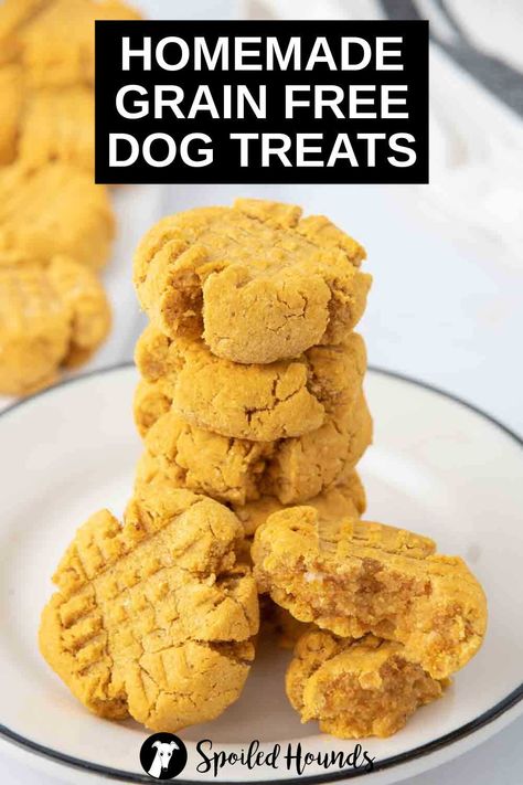 Homemade Grain Free Dog Treats are made with coconut flour, tapioca flour, pumpkin puree, peanut butter, and egg. Get the easy recipe and find out how to make the best grain free treats for dogs. These DIY dog treats have healthy, simple, and dog-safe ingredients. They’re gluten free, dairy free, and great for dogs with a wheat allergy. Pumpkin Grain Free Dog Treats, Grain Free Dog Treat Recipes Easy, Homemade Soft Dog Treats, Treats For Dogs With Allergies, Grain Free Dog Treat Recipes, Dog Treats With Pumpkin, Dog Treat Recipes Easy, Wheat Free Dog Treats, Dog Treats Homemade Pumpkin