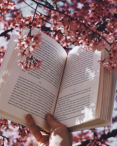 Aesthetic Era, Hand Photography, Japanese Lanterns, Book Background, Sunflower Wallpaper, Aesthetic Japan, Flower Therapy, Background Pictures, Spring Day