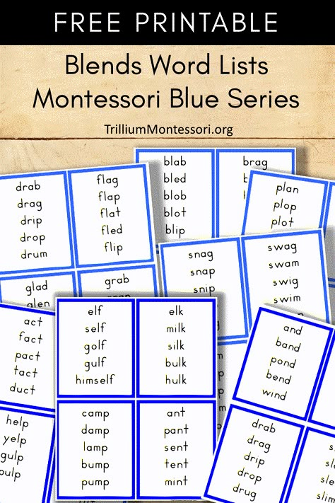 Free Montessori printable Blends reading word word lists for the blue series Montessori Printables Free, Montessori Reading, Montessori Printables, Montessori Language, Montessori Elementary, Montessori Lessons, Montessori Method, Consonant Blends, Blend Words