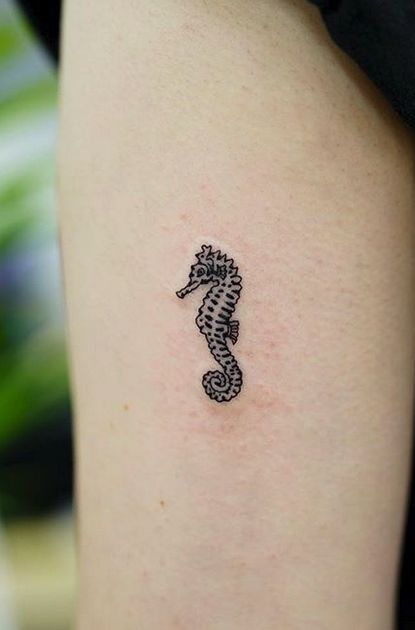 Tiny Tattoos Archives - TattManiaTattMania Seahorse Finger Tattoo, Tattoo Ideas Seahorse, Mini Seahorse Tattoo, Small Seahorse Tattoos For Women, Tiny Seahorse Tattoo, Seahorse Tattoo Tiny, Tiny Octopus Tattoo, Mini Octopus Tattoo, Tiny Stingray Tattoo