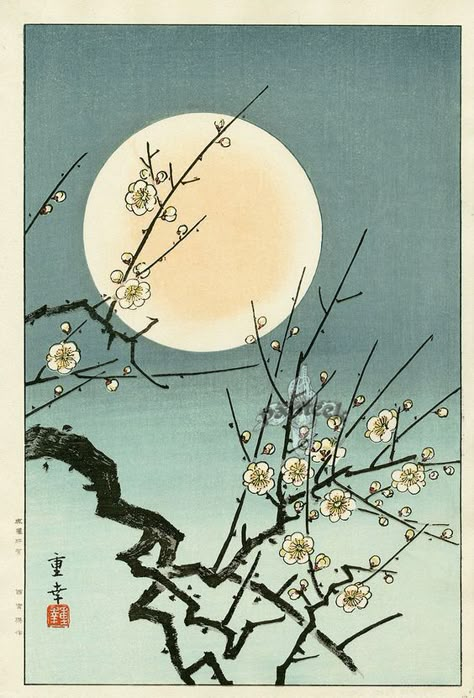 MOON BLOSSOM BY KAWASE HASUI. More know for his landscapes this simple work is also absolutly beautiful. He is a master at woodblock art!! #japanese #art #wood #block www.richard-neuman-artist.com Poster Grafico, Kawase Hasui, Japanese Woodcut, Wood Block Prints, Woodblock Printing, Japanese Artwork, Japanese Illustration, Japon Illustration, Japanese Woodblock