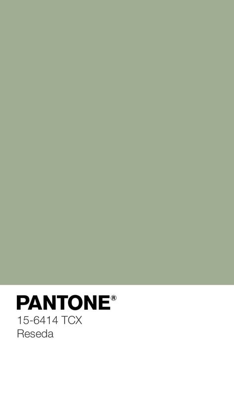 Unnoticeable Charm — Kid's Pattern Green Tones Palette, Shades Of Green Palette, Pantone Green Shades, Eucalyptus Color, Green Pantone, Pantone Green, Pantone Palette, Eucalyptus Green, Colorful Interior Design