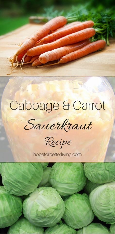 Preserving Carrots, Canning Sauerkraut, Making Sauerkraut, Recipe For Fall, Fermenting Jars, Homemade Sauerkraut, Canning Vegetables, Fermented Cabbage, Sauerkraut Recipes