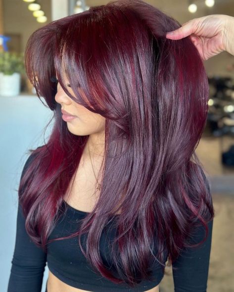 Violet Hair Colors With Highlights, Violet Red Hair Color With Highlights, Cherry Hair With Highlights, Dark Cherry Red Hair With Highlights, Violet Red Hair Color, Pelo Color Borgoña, Cola Hair, Pelo Color Vino, Cutest Hairstyles