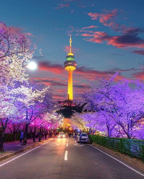 Places To Visit In Seoul, N Seoul Tower, Visit South Korea, Seoul Travel Guide, Seoul Tower, Namsan Tower, South Korea Photography, Seoul Korea Travel, Korea Wallpaper