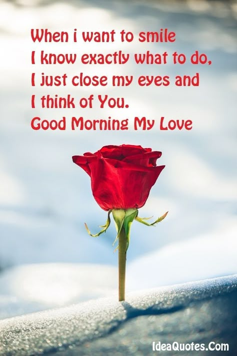 Mar 11, 2019 - This Pin was discovered by Dylan Muncy. Discover (and save!) your own Pins on Pinterest Good Morning Daughter, My Love Photo, Romantic Good Morning Quotes, Quotes Good, Overcoming Jealousy, Flirty Text, Morning My Love, Good Morning Sweetheart, Love Good Morning