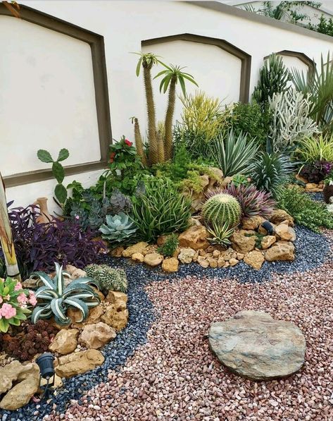 Xeriscape For Beginners, Desert Rock Garden Landscaping, Outdoor Cactus Garden Landscaping, No Water Backyard, Small Desert Garden Ideas, Succulent Cactus Garden, Plants That Grow On Rocks, Florida Succulent Landscaping, Succulent Garden Outdoor Front Yards