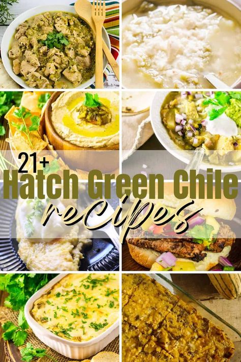 Recipes Using Green Chilis, Recipes With Hatch Peppers, Fresh Hatch Chili Recipes, Recipes With Green Chilis, Recipes With Hatch Chilies, Hatch Chiles Recipes, Hatch Green Chili Recipes Chicken, Roasted Green Chili Recipes, Canned Hatch Green Chile Recipes