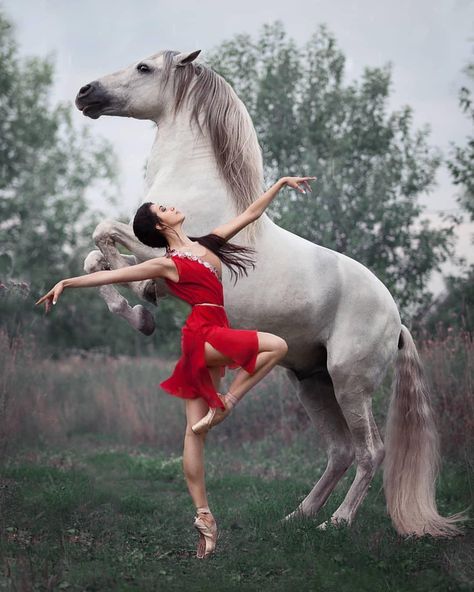 A truly beautiful photo of ballet royalty and equine excellence. Principal dancer Anastasia Limenko with the extraordinary Andalusian horse “Brioso” Photo © Olga Bazhutova ▪️▪️▪️▪️▪️▪️▪️▪️▪️▪️▪️ @anastasia_limenko @stanmus @olga_bazhutova... Andalusian Horse, Clydesdale, Cute Horses, Trik Fotografi, Appaloosa, Horse Photos, Pretty Horses, Love Horses, Quarter Horse