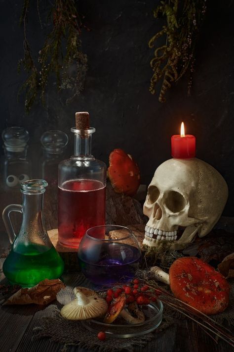 ark; wiccan; pagan; evil; manuscript; candle; glass; on the table; pentacle; mushrooms; diabolic; skull; paganism; witchcraft; charms; mug; magic; orange; wooden; table; background; symbol; satan; halloween; altar; scary; esoteric; ritual; cabala; old; spirituality; ancient; pentagram; talisman; mystic; esoterica; devil; astrology; cult; mysticism; demon; horror; gothic; occultism; satanic; spiritual; witch; vintage; black Mexican Gothic, Autumn Still Life, Poisonous Mushrooms, Witch Spells, Voodoo Spells, Cute Creepy, Skulls And Bones, Skull Painting, Gothic Romance