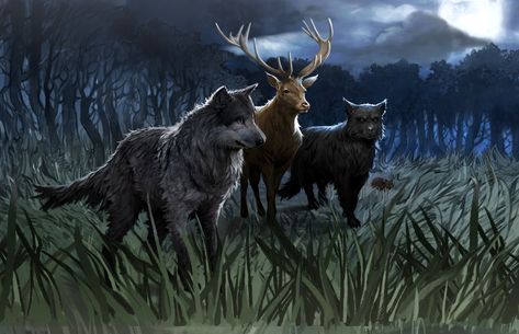 Marauders fan art (full moon) (animagus) (not mine) Sirius Black Dog, Ron E Hermione, Lupin Harry Potter, Fanart Harry Potter, Moony Wormtail Padfoot And Prongs, Padfoot And Prongs, Walburga Black, Harry Potter Wiki, Film Harry Potter