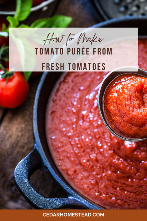 Making tomato purée from fresh tomatoes is so simple. But what is between tomato purée? This blog posts discusses tomato purée vs sauce, tomato purée vs passata, tomato purée vs strained tomatoes, and even discusses frozen tomato purée and how to properly store it and use it. Homemade Tomato Puree, How To Make Tomato Puree, Tomato Puree Recipes, Freezing Tomatoes, Manga Food, Tomato Puree, Simple Farmhouse, Farmhouse Decor Diy, What Is