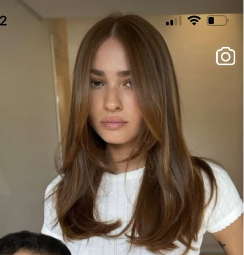 Haircuts Armpit Length, Brown Balayage Medium Length, Face Framing Front Pieces, Armpit Length Hairstyles, Long Layers With Face Framing Pieces 90s, Armpit Length Haircut With Layers, Medium Length Light Brown Hair, Armpit Length Hair With Layers, Armpit Length Haircut