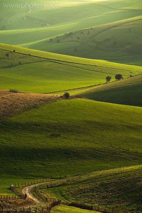 England Countryside, Dreamy Places, Essex England, South Downs, East Anglia, Image Nature, British Countryside, Dirt Road, Country Side