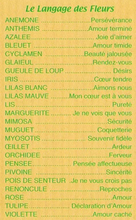 Flower Symbolism, French Practice, French Education, French Classroom, Commonplace Book, French Poster, Foreign Language Learning, French Vocabulary, French Teacher