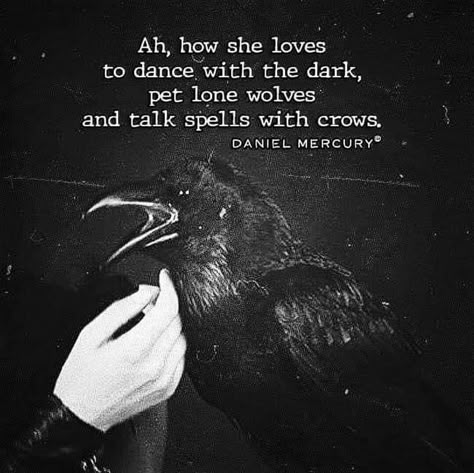 Raven Quotes, Grimoire Journal, Raven And Wolf, Myths & Monsters, Gothic Room, Witch Tips, Which Witch, Witchcraft Spell Books, Astrology Art