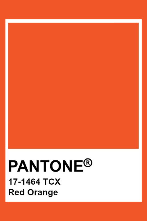 PANTONE 17-1464 TCX Red Orange Orange Pantone Color, Orange Pantone, Pantone Orange, Pantone Tcx, Pantone Red, Base Cake, Scarlet Ibis, Pantone Color Chart, Pantone Swatches