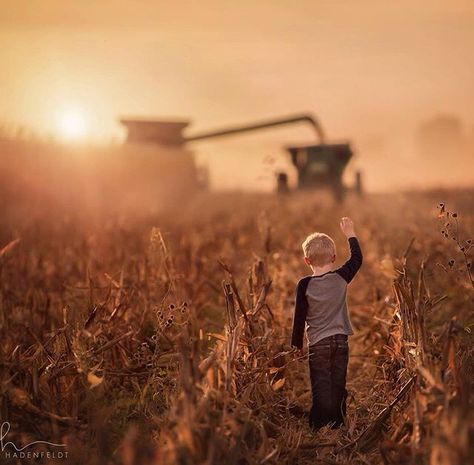 Harvest Photos, Farm Senior Pictures, Farm Family Pictures, Farming Photography, Agriculture Photography, Farm Photos, Farm Pictures, Farm Family, Combine Harvester