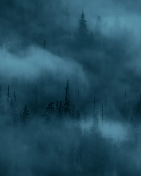 Blue Landscape Aesthetic, Mist Aesthetic, Dark Blue Forest, Mist Wallpaper, One Dark Window, Forest Mist, Dark Window, Dark Naturalism, Blue Fog