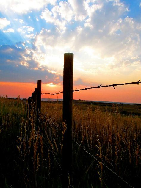 Barbed Wire Perimeters and a Sunset Barbed Wire, Garden Fence, Fence, The Sun, Sun