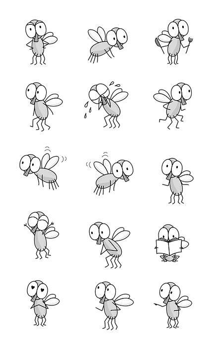 Fly Cartoon Drawing - Free image on Pixabay Fly Cartoon, Bug Cartoon, Fly Drawing, Animal Line Drawings, Kids Animation, Greeting Card Art, Doodle Pages, Bible Illustrations, Animal Doodles