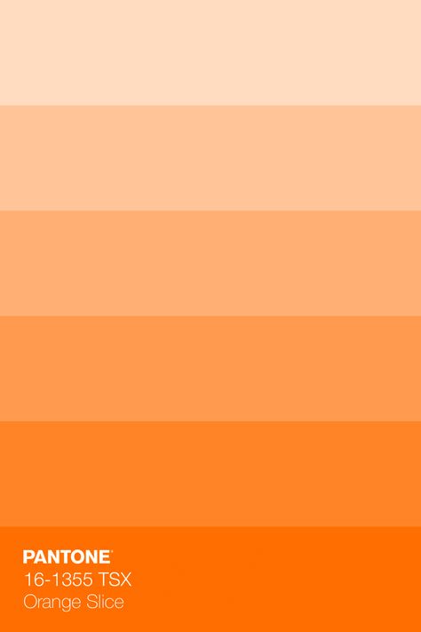 PANTONE 16-1355 TSX Orange Slice Colour Tint · Discover Color Book of 203 trend-driven, neutral, bright, and pastel Pantone Polyester TSX Colors, dyed on 100% polyester fabric for Interiors · #Pantone #Color #ColorRange #Inspiration · @pantonecolor · Kid’s Pattern Orange Shades Color, Orange Colors Shades, Creamy Orange Color, Pastel Orange Colour Palette, Orange Color Palettes Pastel, Pastel Orange Palette, Bright Orange Palette, Orange Shades Colour Palettes, Light Orange Color Palette