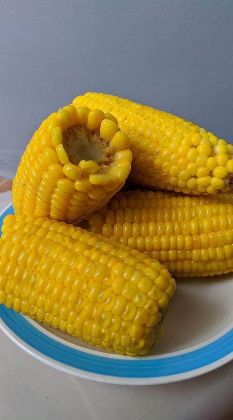 Japanese Sweet Corn #maalamnasihubbymamalengke Sweet Corn Aesthetic, Interesting Fruits, Corn Aesthetic, Butter Corn, Foto Insta, Cardboard Crafts Diy, Healthy Food Inspiration, Baby Blue Aesthetic, Vegetarian Snacks Recipes