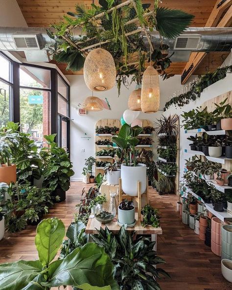 Plant Shop Ideas Inspiration, Cafe Plants, Trailer Shop, Flower Shop Interiors, Flower Shop Design, Teacup Gardens, Cozy Coffee Shop, Chose Me, Plant Book