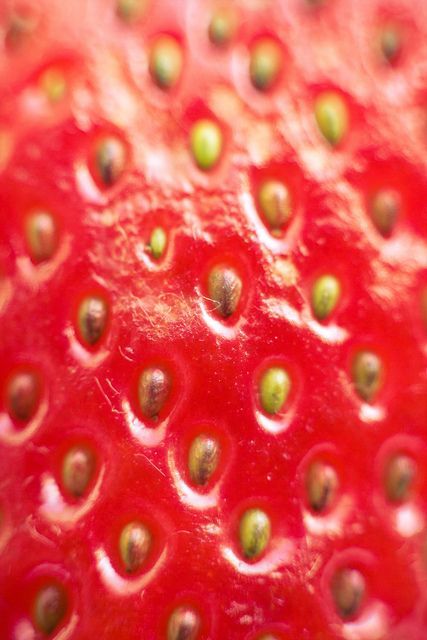 Texture- You can almost feel the strawberry because of how detailed the photo is. Use Of Texture In Photography, Proximity Photography, Patterns In Nature Texture, Strawberry Texture, Fruit Texture, Materials Photography, Zoom Photography, Patterns Photography, Photography Texture