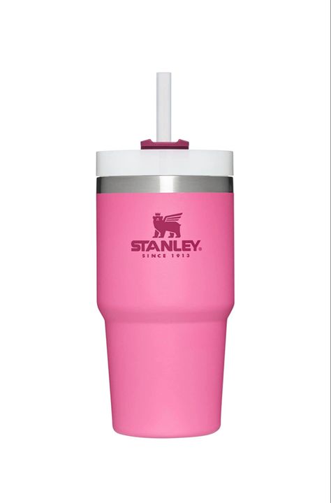 KIDS 20 oz STANLEY CUP #stanley #amazonfinds Stanley Cup Without Handle, 20 Oz Stanley Cup, Stanley Cup 14oz, Mini Stanley Cup Pink, Mini Pink Stanley, Baby Stanley Cup, Stanley 20 Oz, 20oz Stanley Cup, Stanley Cup 20 Oz