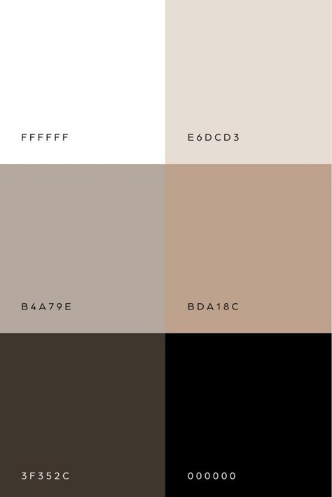 Black And Beige Colour Palette, Minimalist Brand Color Palettes, Neutral Pallete Color Code, Modern Minimalist Color Scheme, Neutral Colour Palette Hex Codes, Moodboard Inspiration 2024, Brown Neutral Color Palette, Minimalist Wedding Color Palette, Modern Color Palette Branding