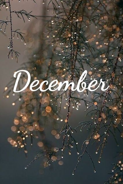 December Wallpaper Iphone, December Images, Notion Board, December Wallpaper, Happy New Year Message, Xmas Wallpaper, Cute Christmas Wallpaper, Christmas Phone Wallpaper, Hello December