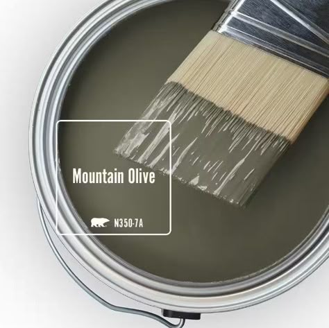 Earthy Paint Colors Behr, Mountain Olive Behr Paint, Behr Dusty Olive, Behr Olive Green Paint Colors, Behr Green Paint Colors Bedrooms, Olive Paint Color, Olive Green Paint Colors, European Cottage Style, Olive Paint