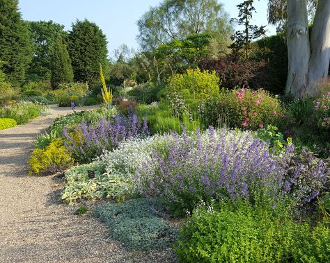 Dry Garden Ideas, Gravel Garden Ideas, Mediterranean Garden Ideas, African Garden, Beach House Landscaping, Gravel Gardens, Dry Gardens, Mediterranean Gardens, Gravel Landscaping