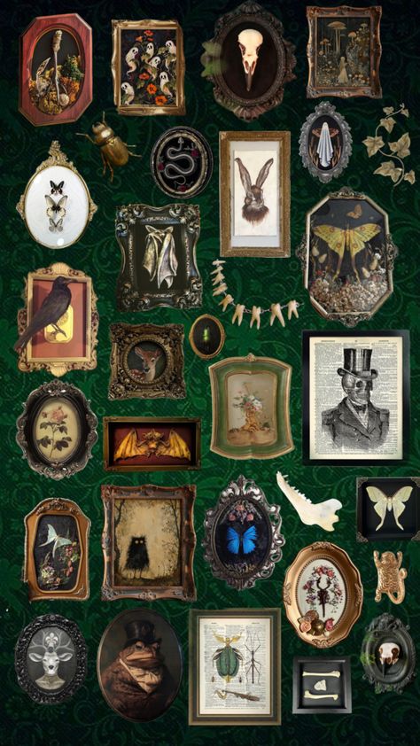 oddities #odditiesandcuriosities #walldecor #gothaesthetic #gallerywall #goth #gothicwalldecor Oddities Aesthetic Wallpaper, Oddities Gallery Wall, Oddities And Curiosities Aesthetic, Oddities Aesthetic, Oddity Wall, Oddities Illustration, Cabinet Of Curiosities Poster, Oddities Decor, Vintage Oddities