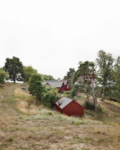 johansen skovsted cottage restoration recreates the atmosphere of the heritage building, initially built in 1905 among sand dunes of the danish countryside. Timber Frame Construction, Roof Insulation, Separating Rooms, Tower Building, Old Cottage, Old Farmhouse, Under Stairs, Architecture Interior, Log Homes