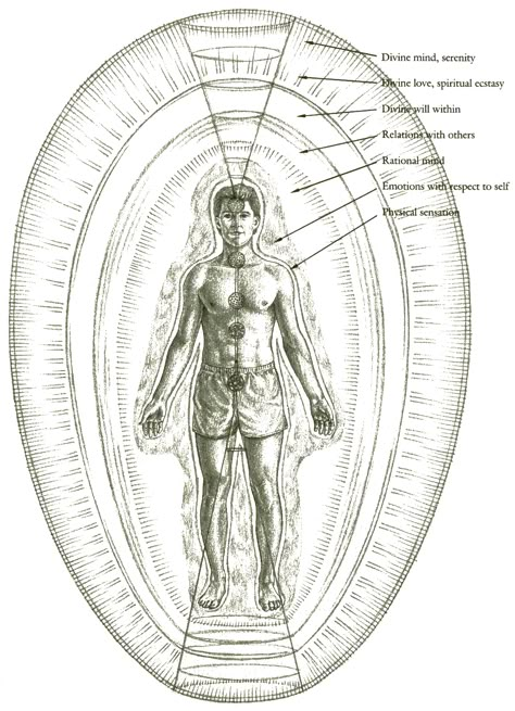 Subtle energy is something that has been seen and felt by healers and energy sensitive people for thousands of years. It has been described as electromagnetic wavelengths, rates of vibration, patterns of pulsation – the dynamic infrastructure of the body. Hands Of Light, Human Energy, Etheric Body, Pranic Healing, Everything Is Energy, Spirit Science, Energy Medicine, Body Energy, Aura Colors